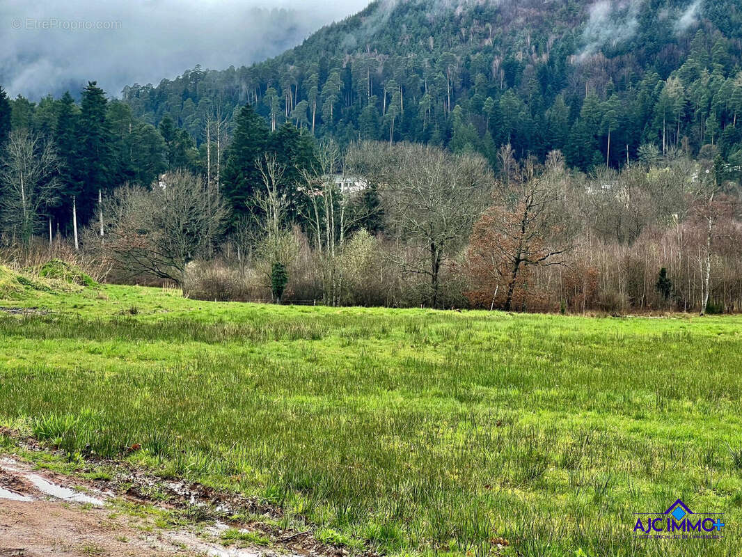 Terrain à SAINT-DIE-DES-VOSGES