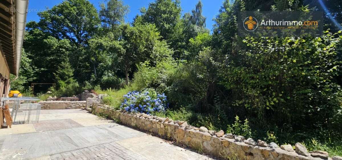 Maison à MONTFERRIER