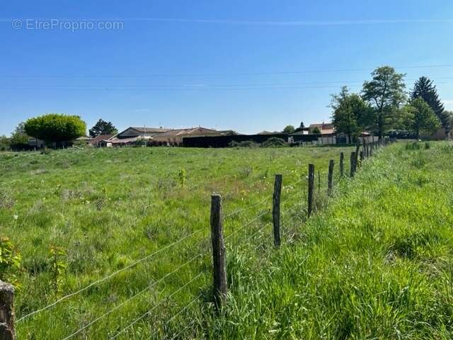 Terrain à PARCIEUX