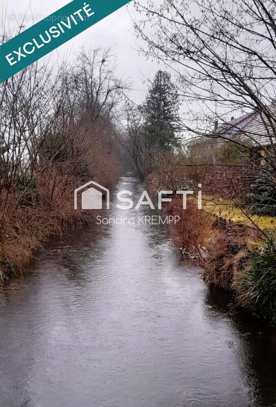 Photo 8 - Maison à REGUISHEIM