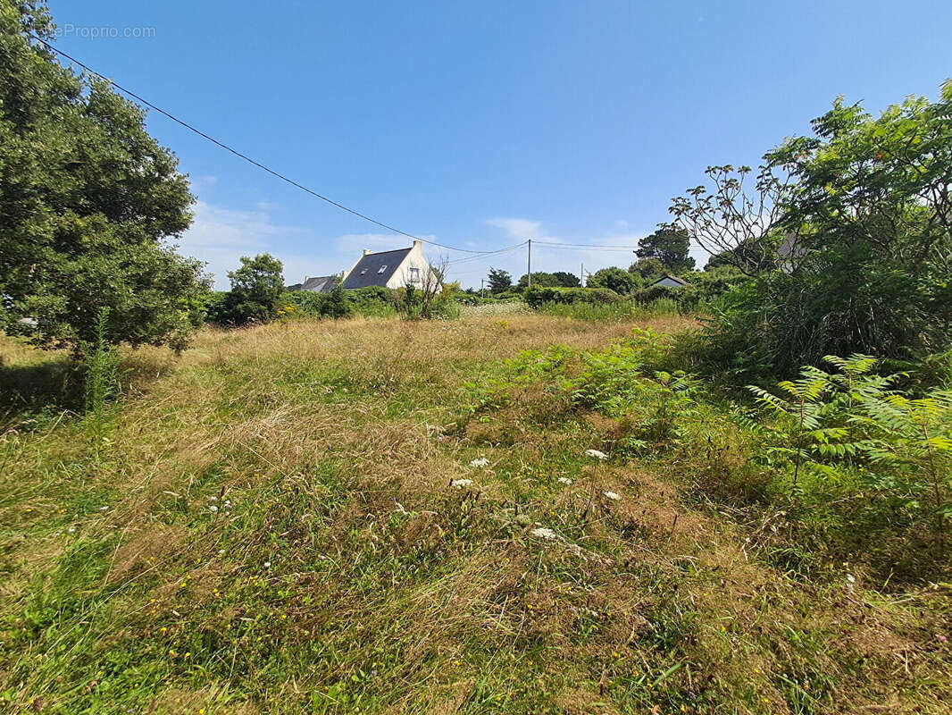 Terrain à PIRIAC-SUR-MER