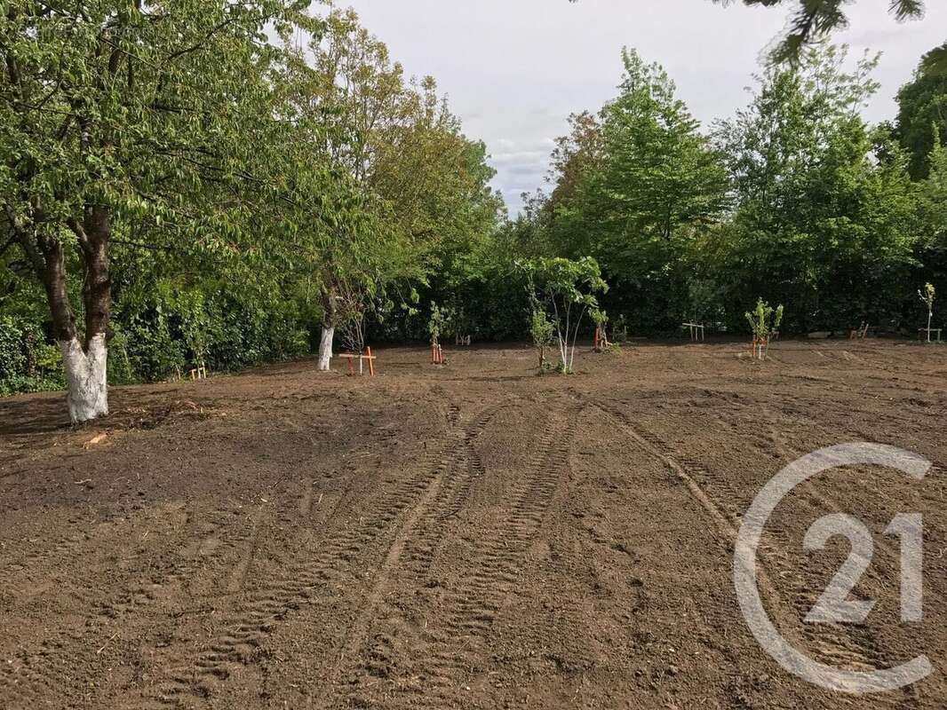 Terrain à SAINT-MARD