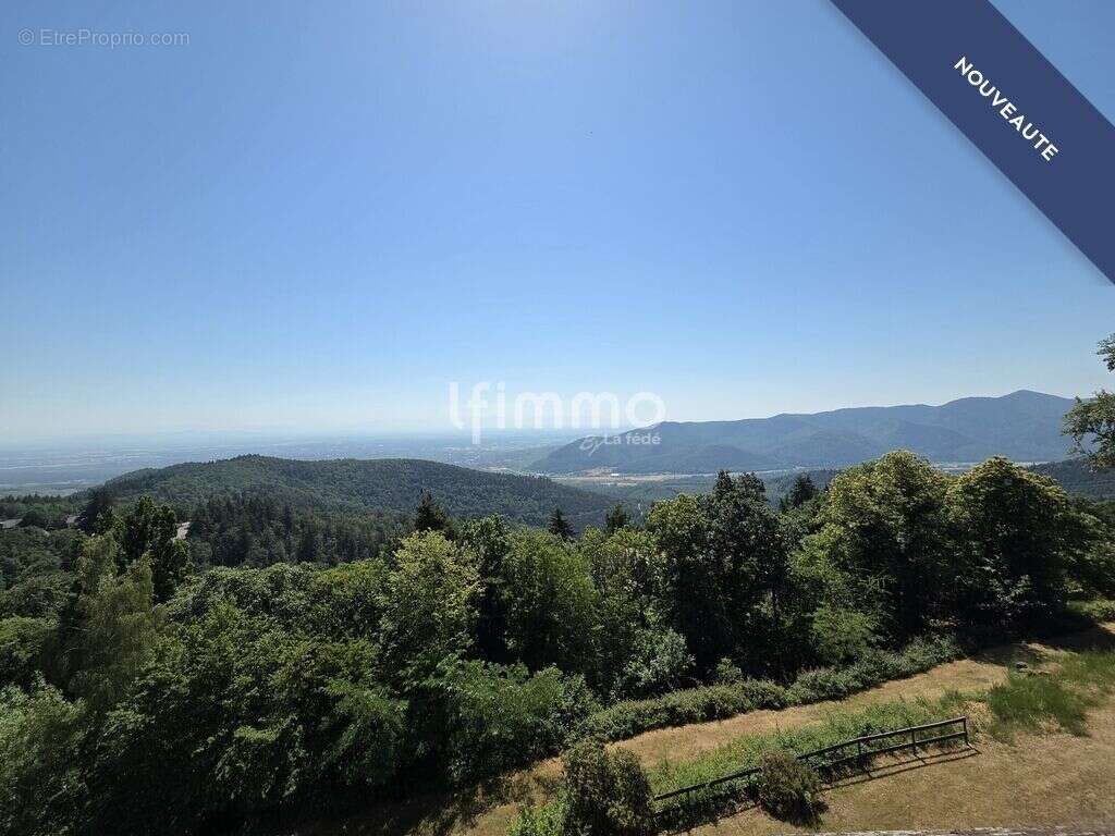 Appartement à TURCKHEIM