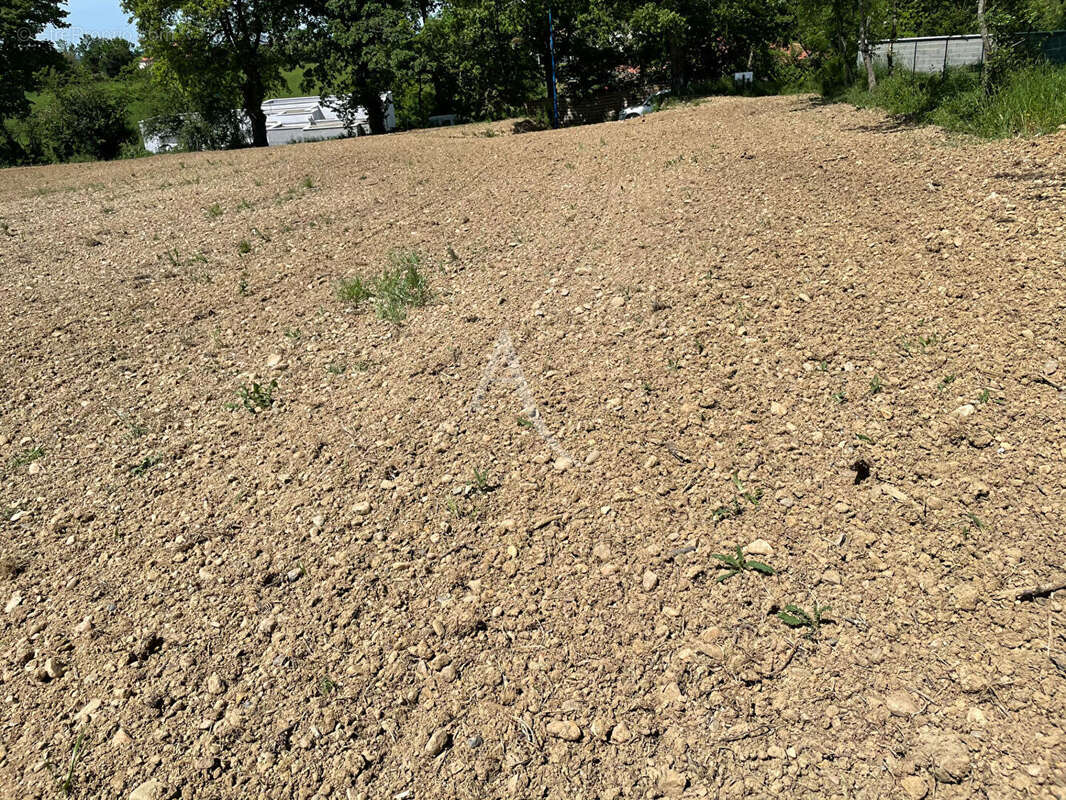 Terrain à L&#039;ISLE-JOURDAIN