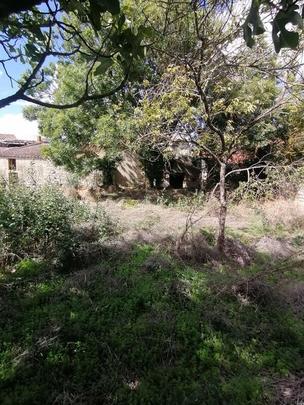 Maison de village avec jardin à Mouthoumet Gros Travaux à prévoir - photo 13