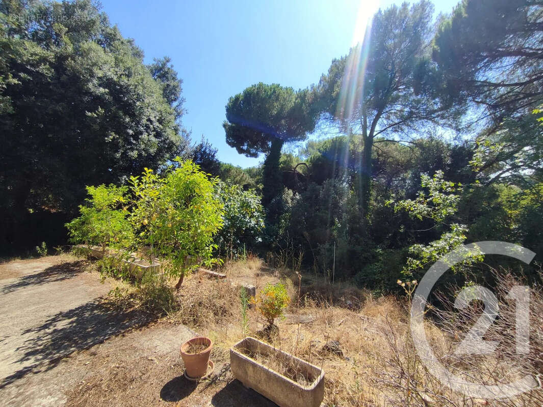Maison à ROQUEFORT-LES-PINS