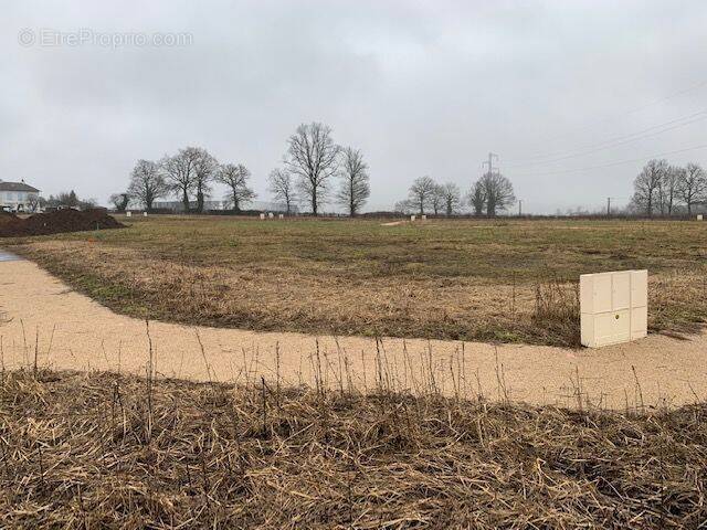 Terrain à NAUCELLES