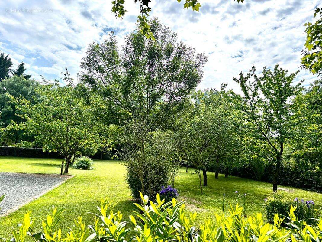 Maison à BEAUFORT-EN-VALLEE