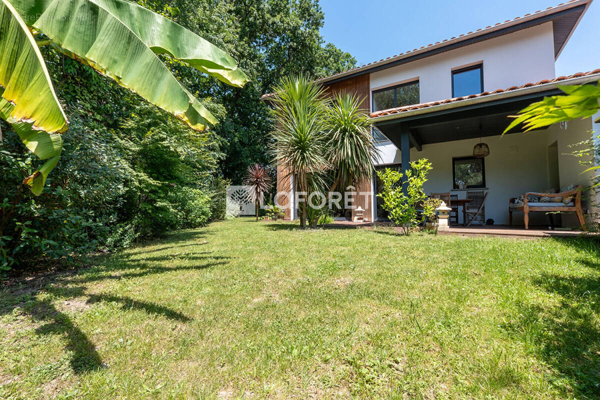 Photo Maison à Anglet au prix de 927 000€