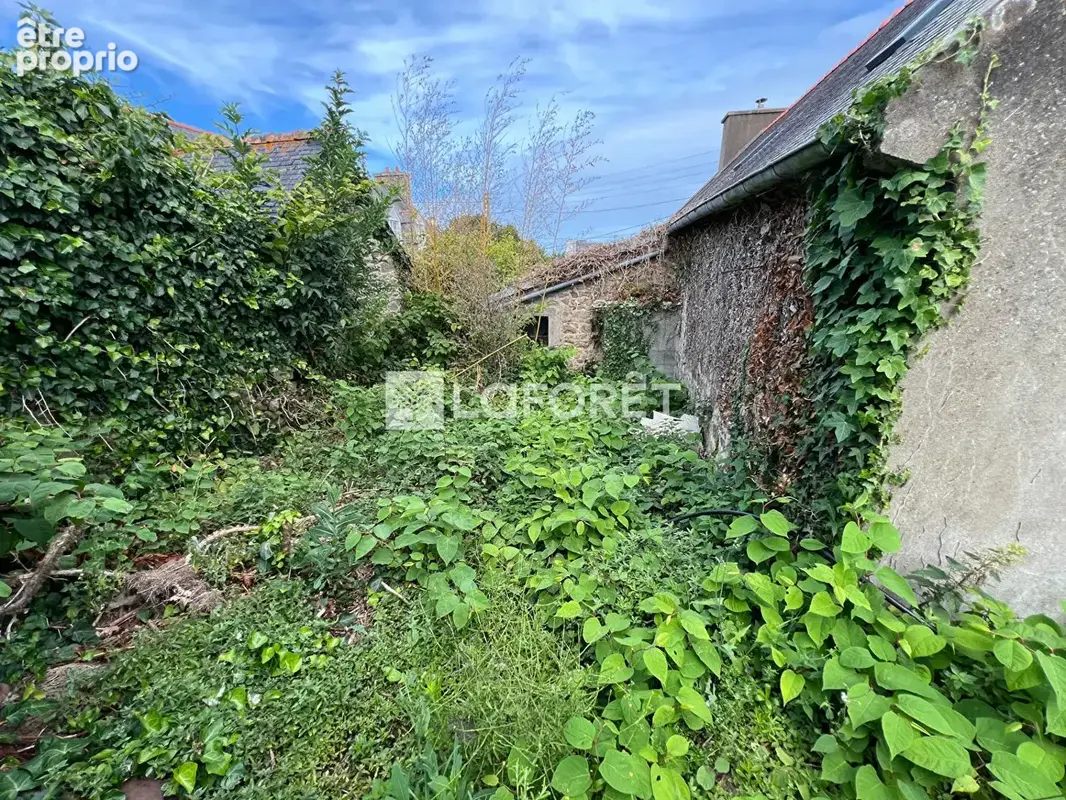 Maison pierre mer à pied - photo 4