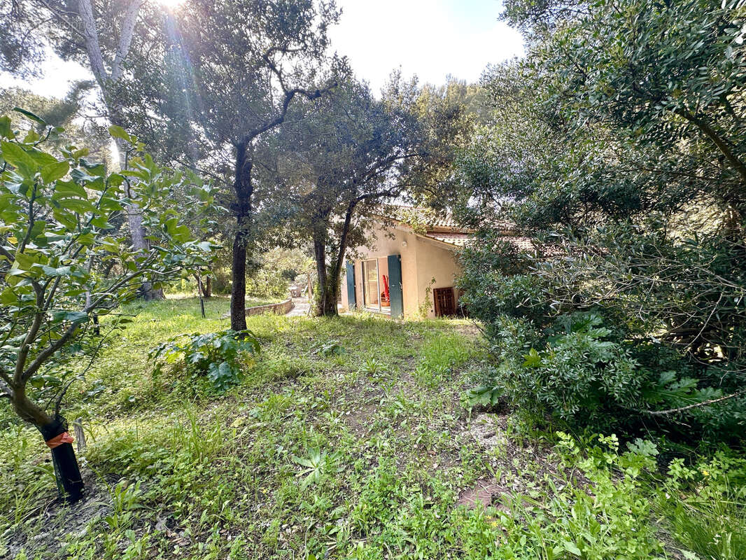 Maison Presqu'île de Giens - Village et plage à pied - photo 10
