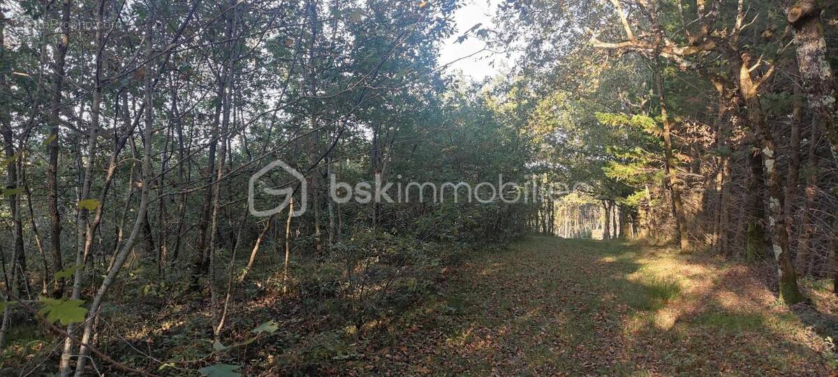 Terrain à MONCLAR-DE-QUERCY
