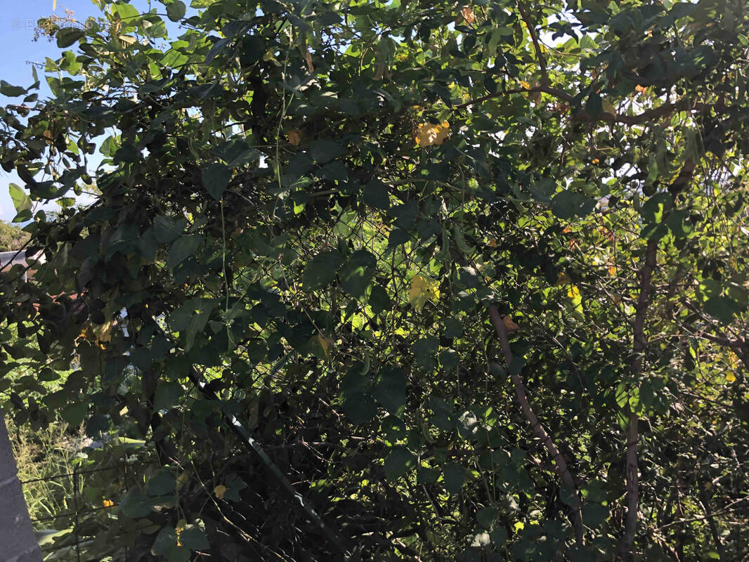 Terrain à SAINT-DENIS