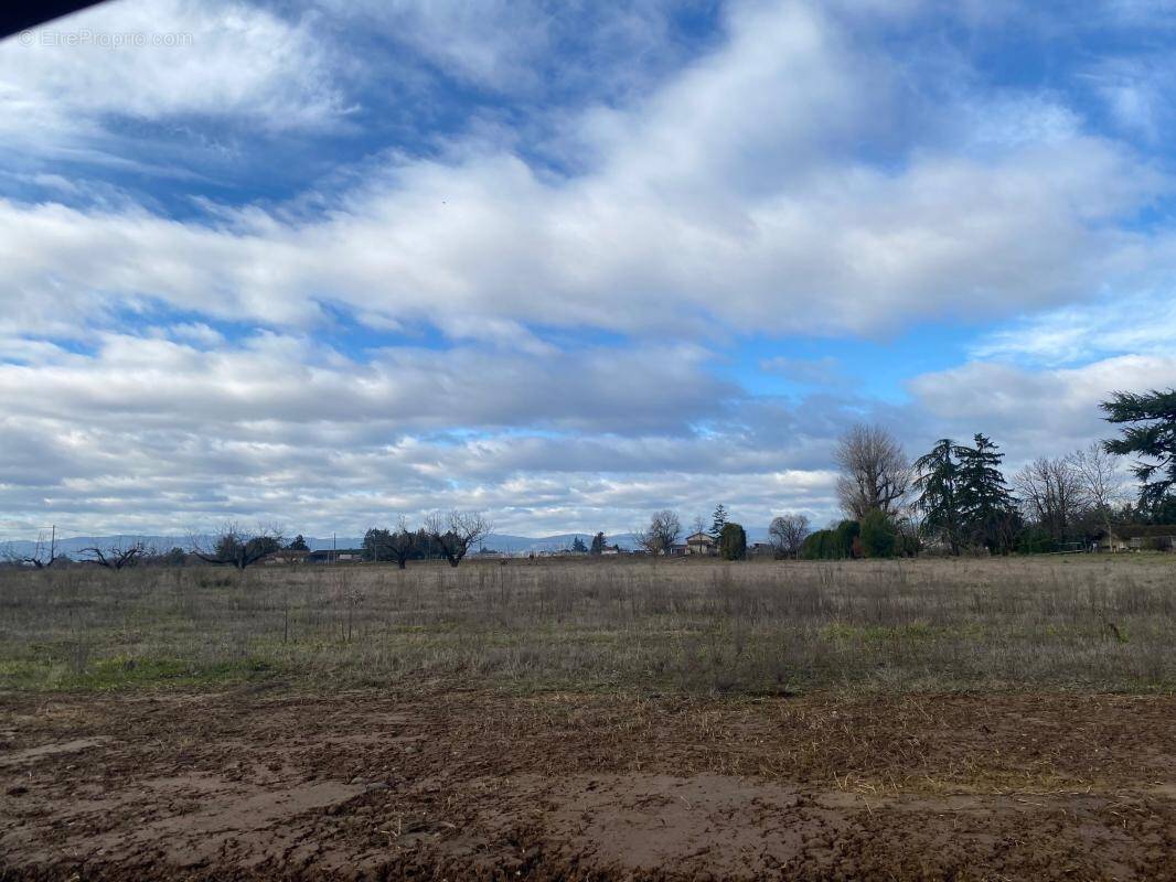 Terrain à GRANGES-LES-BEAUMONT
