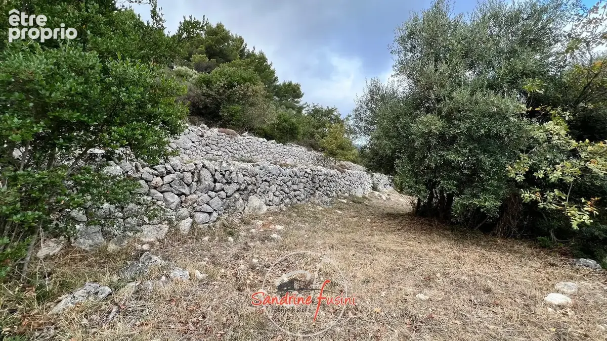Photo Terrain à Carros au prix de 250 000€