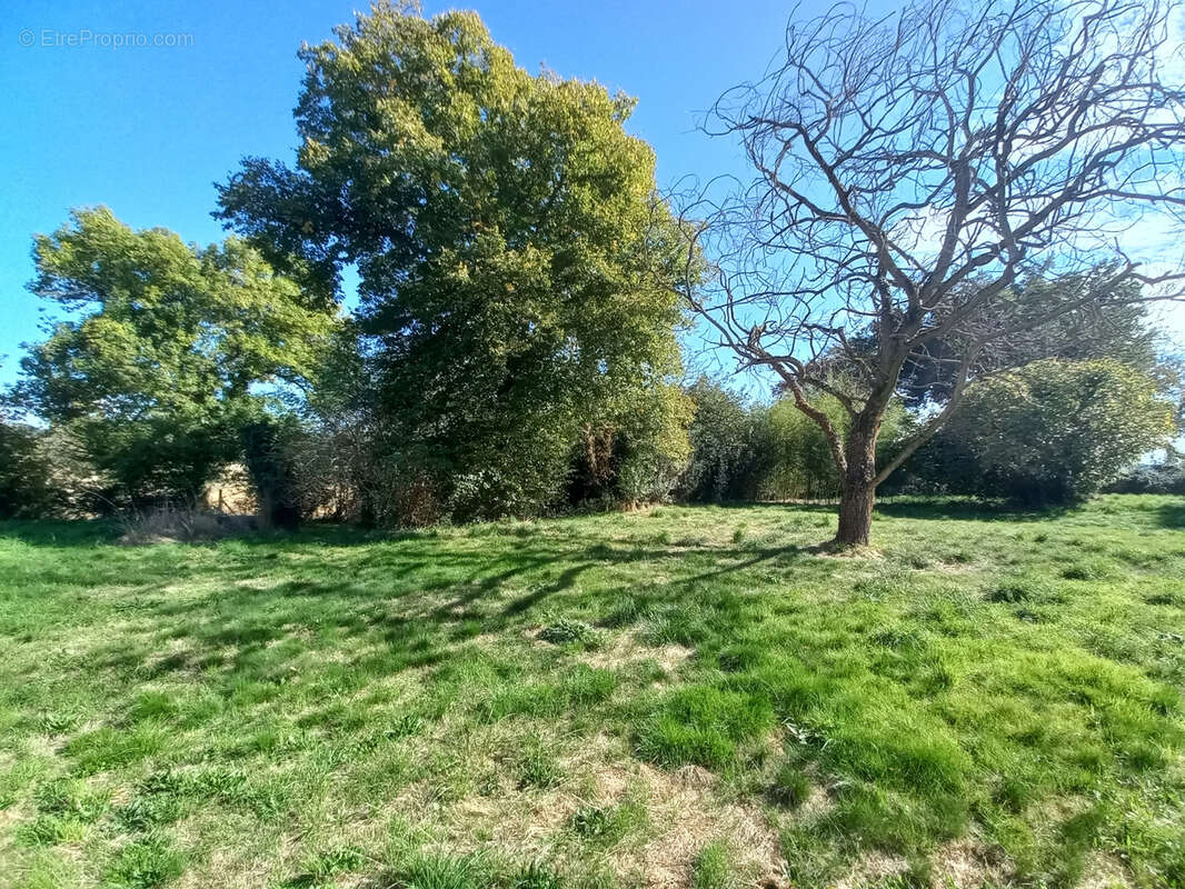 Maison à TRIE-SUR-BAISE