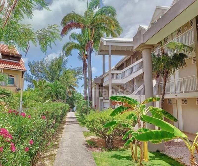 Appartement à SAINT-MARTIN