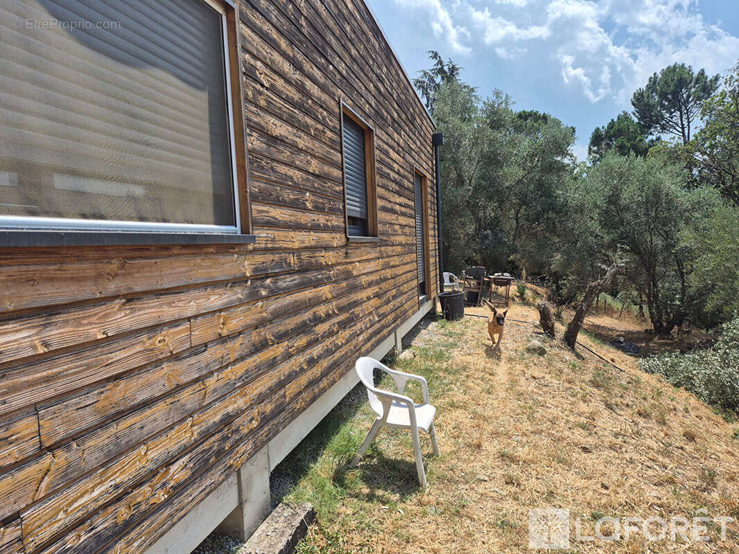 Maison Los Masos sur terrain de 4300m2 - photo 12