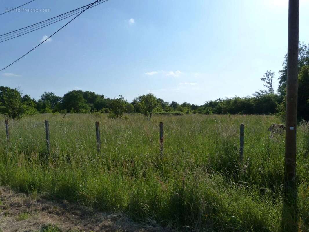 Terrain à MERY-SUR-CHER