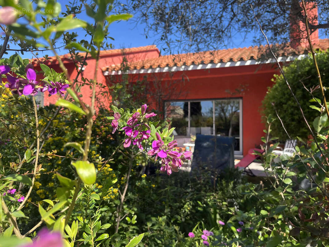 Maison à CABESTANY