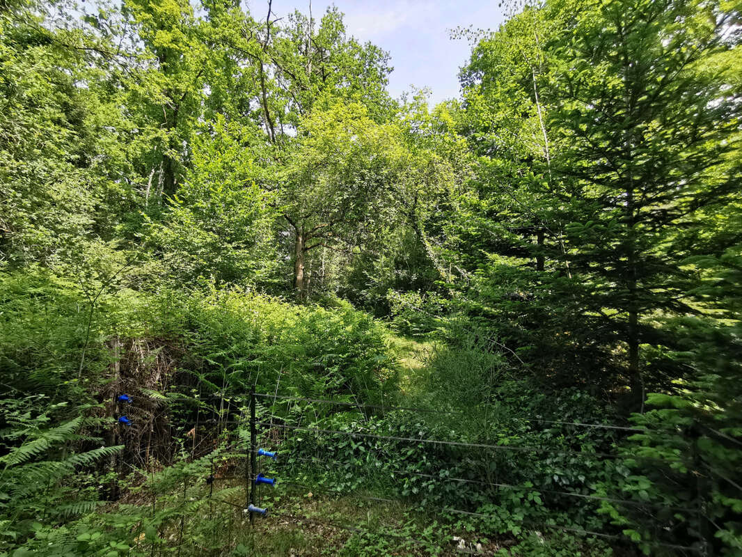 Superbe propriété avec étang sur 51ha - photo 22