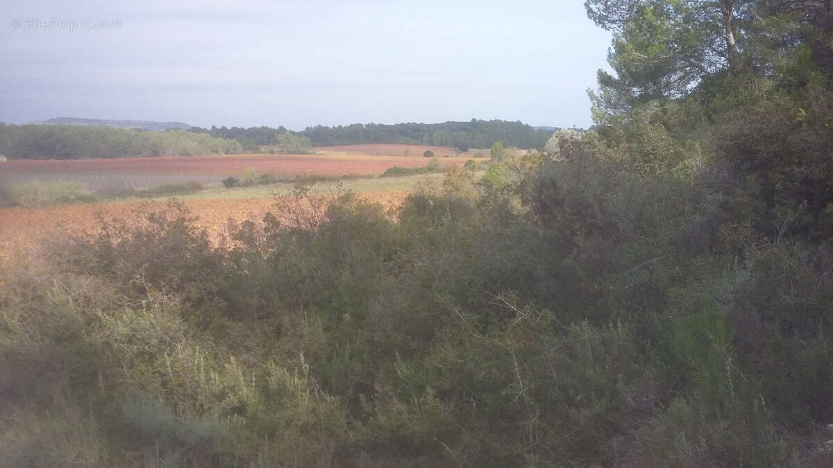 Terrain à SAINT-DREZERY