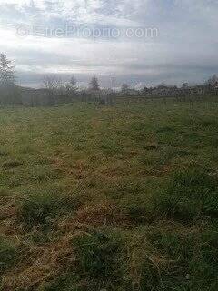 Terrain à VILLEMUR-SUR-TARN