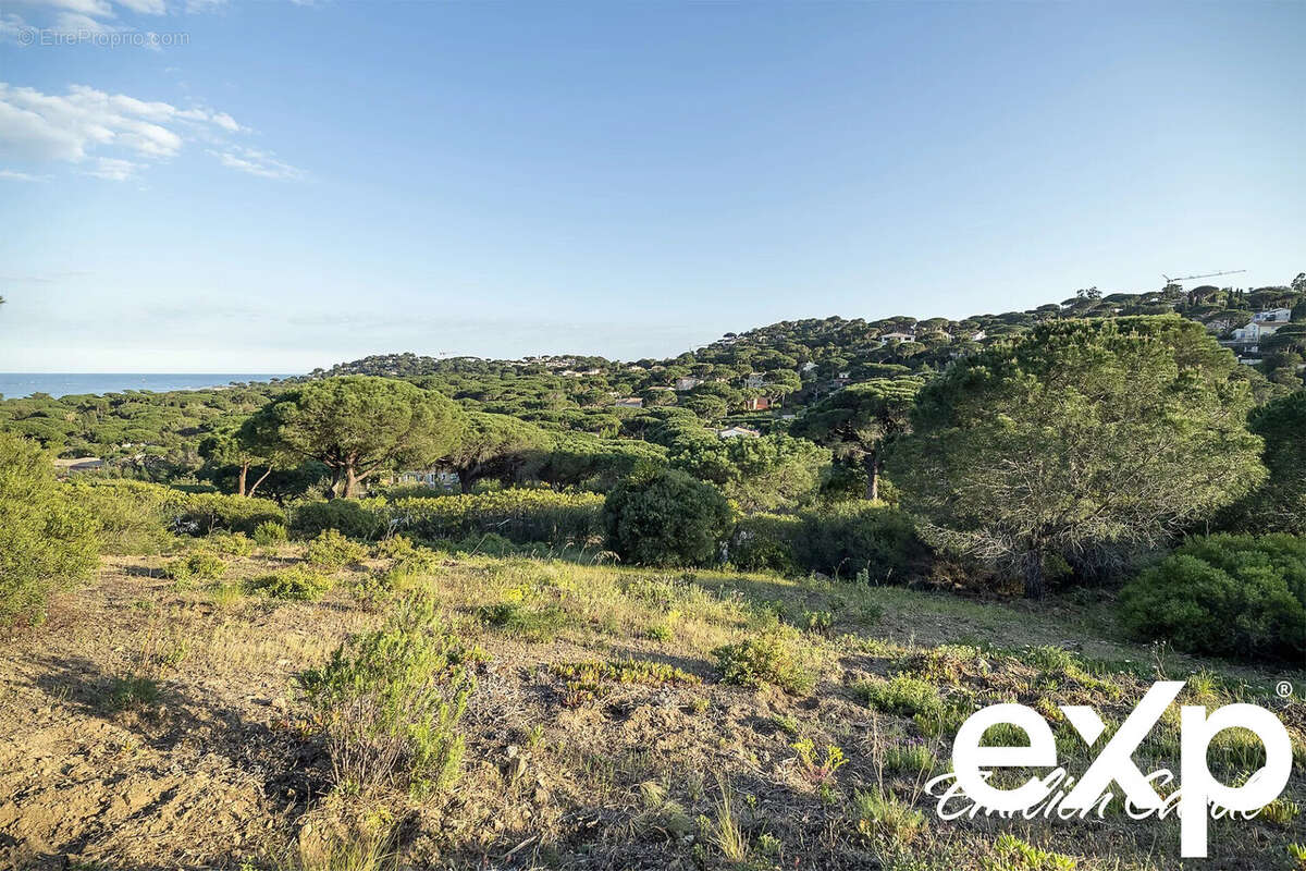 Terrain à SAINTE-MAXIME