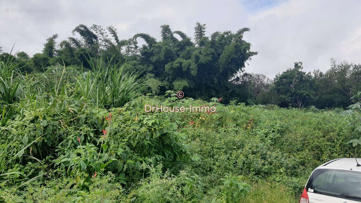 Terrain à LE TAMPON