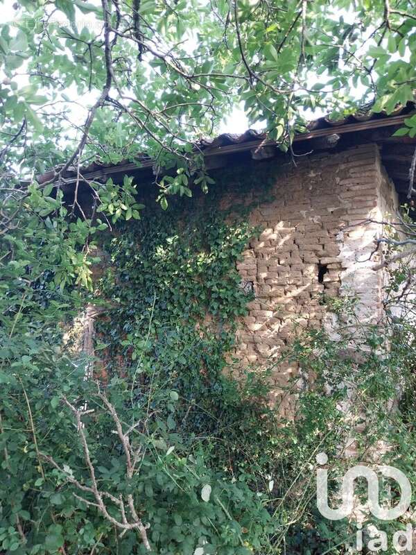 Photo 4 - Terrain à CAZES-MONDENARD