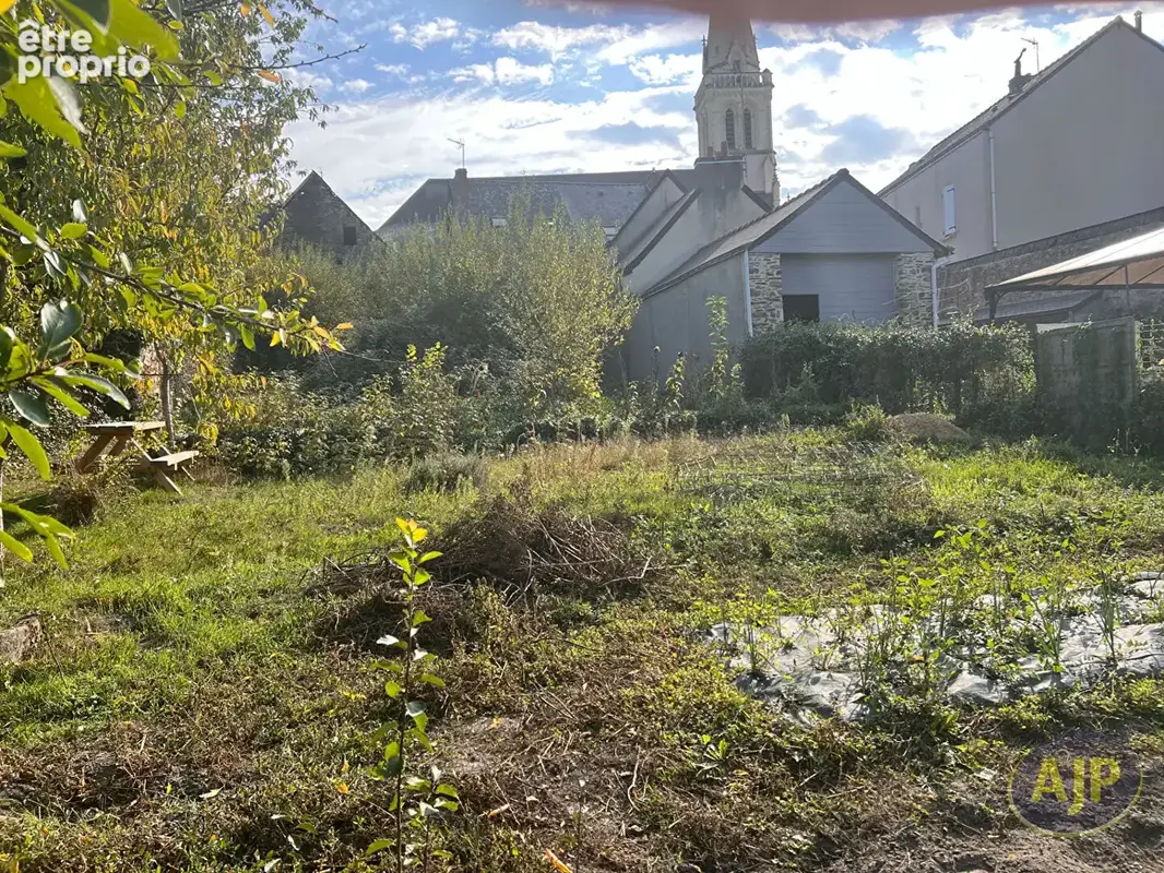 Sainte Gemmes d'Andigné - photo 4
