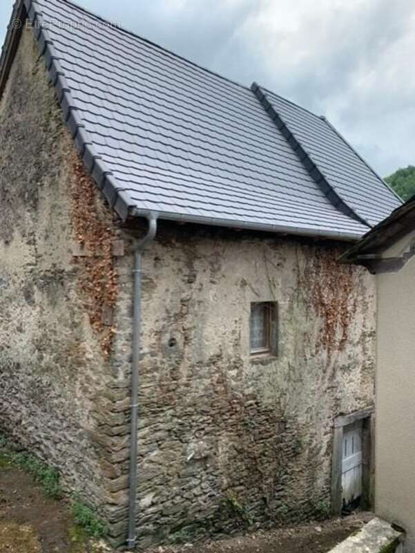 Maison à VIEILLEVIE