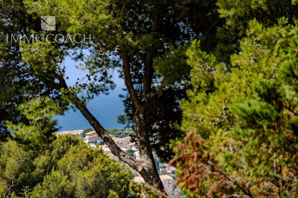 Maison à CARQUEIRANNE