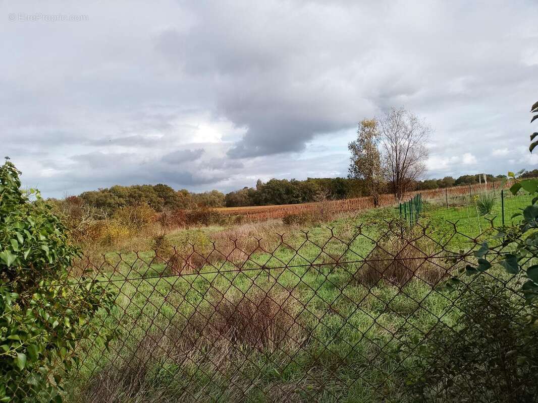 Photo 4 - Maison à BERSON