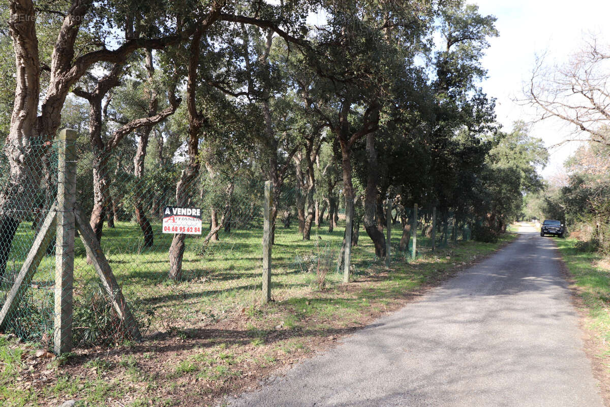 Terrain à ARGELES-SUR-MER