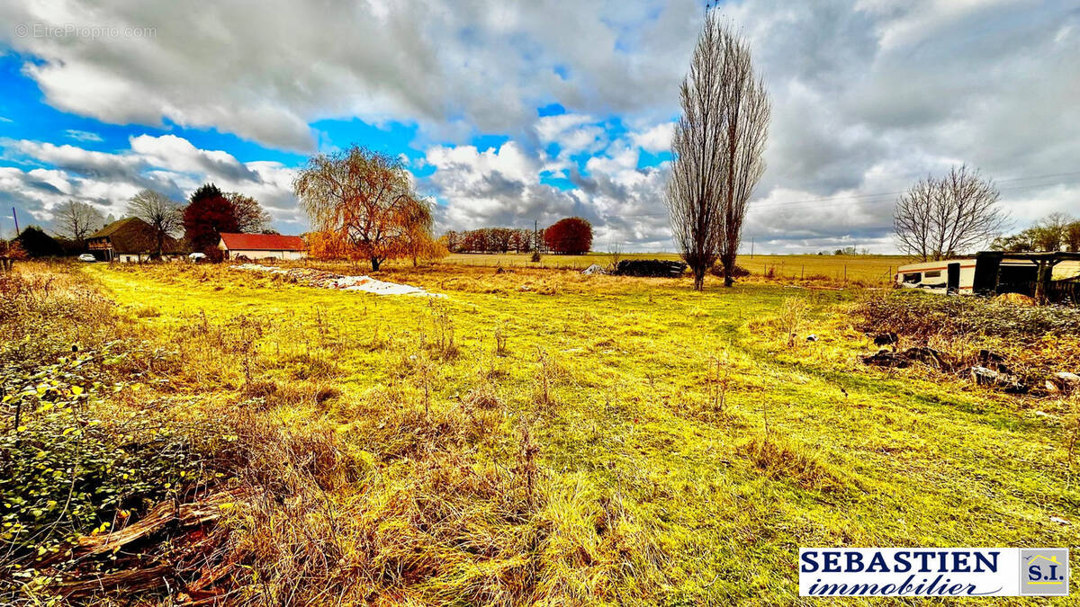 Terrain à LES BORDES-AUMONT
