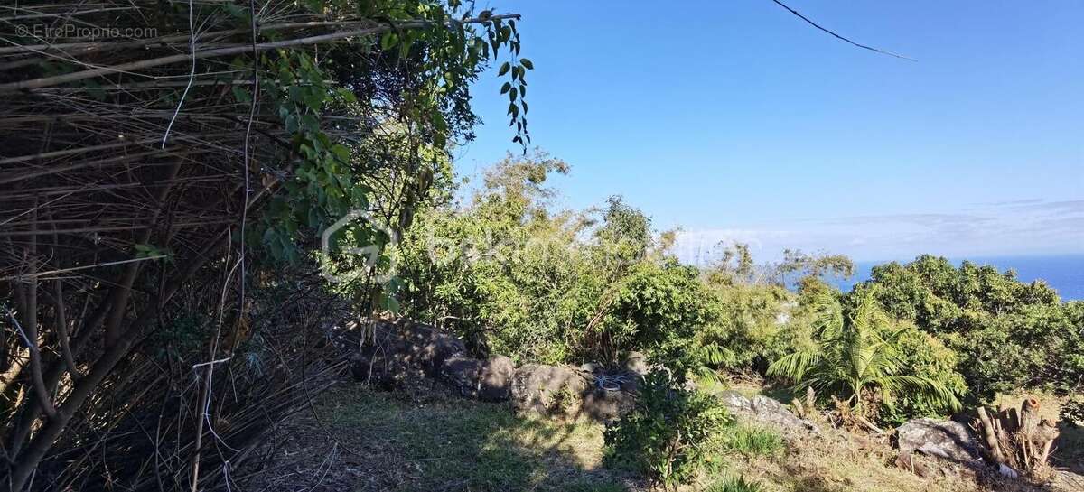 Terrain à SAINT-DENIS