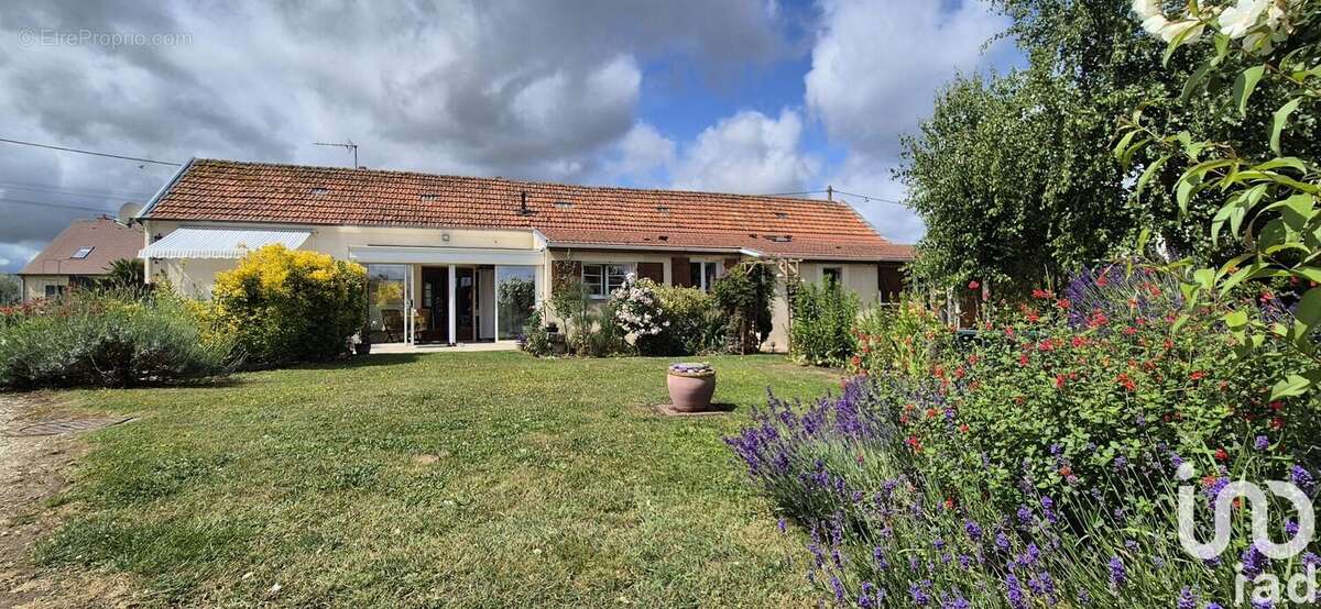 Photo 2 - Maison à FISMES