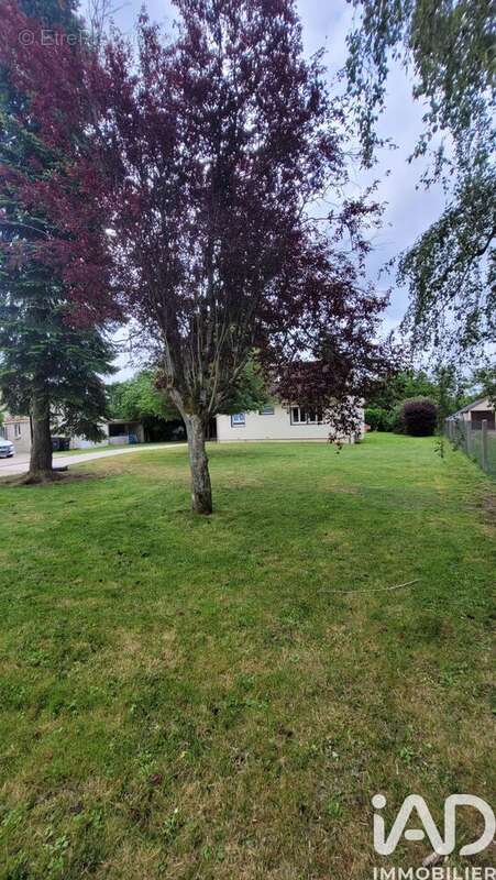 Photo 3 - Maison à USSY-SUR-MARNE