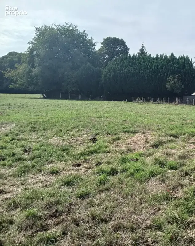 Terrain à LE TITRE