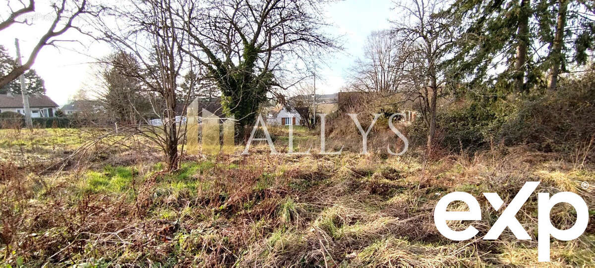 Terrain à TRIE-CHATEAU