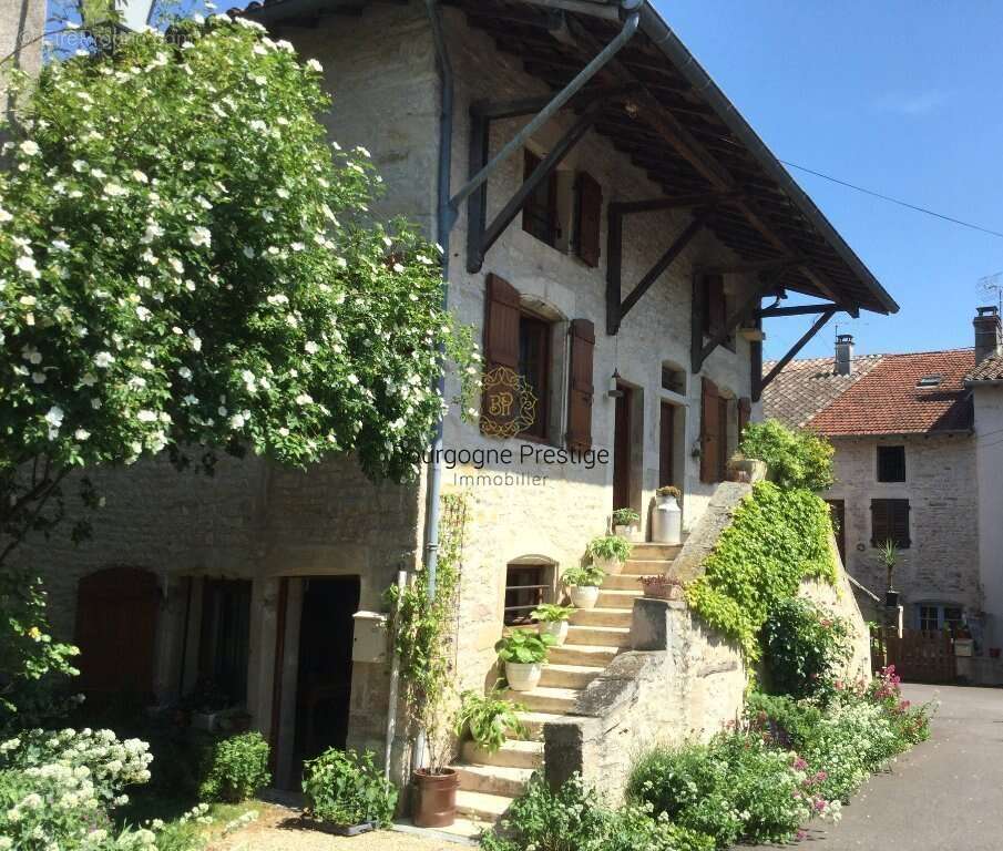 Maison à TOURNUS