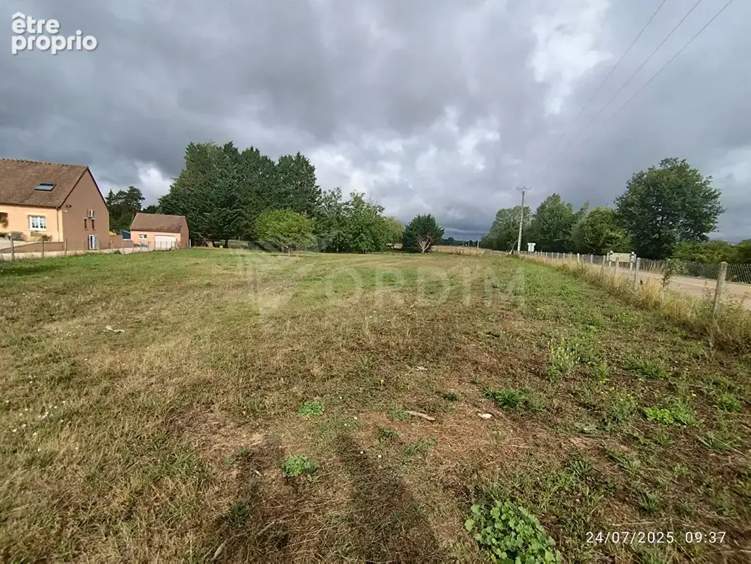Gurgy - belle parcelle de terrain a batir de 3299m² - photo 3