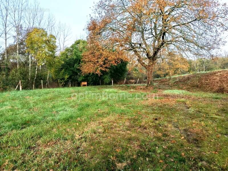 Maison à VILLENEUVE-DE-MARSAN