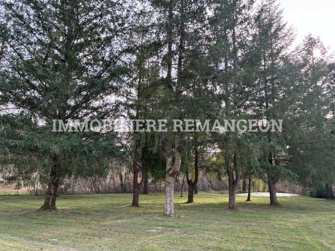 Maison à LA MAROLLE-EN-SOLOGNE