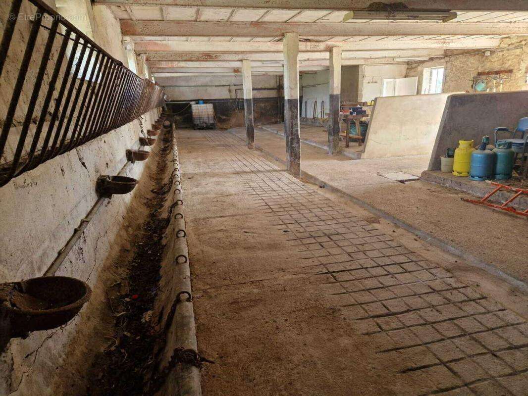 Maison à NEUVILLE-LEZ-BEAULIEU