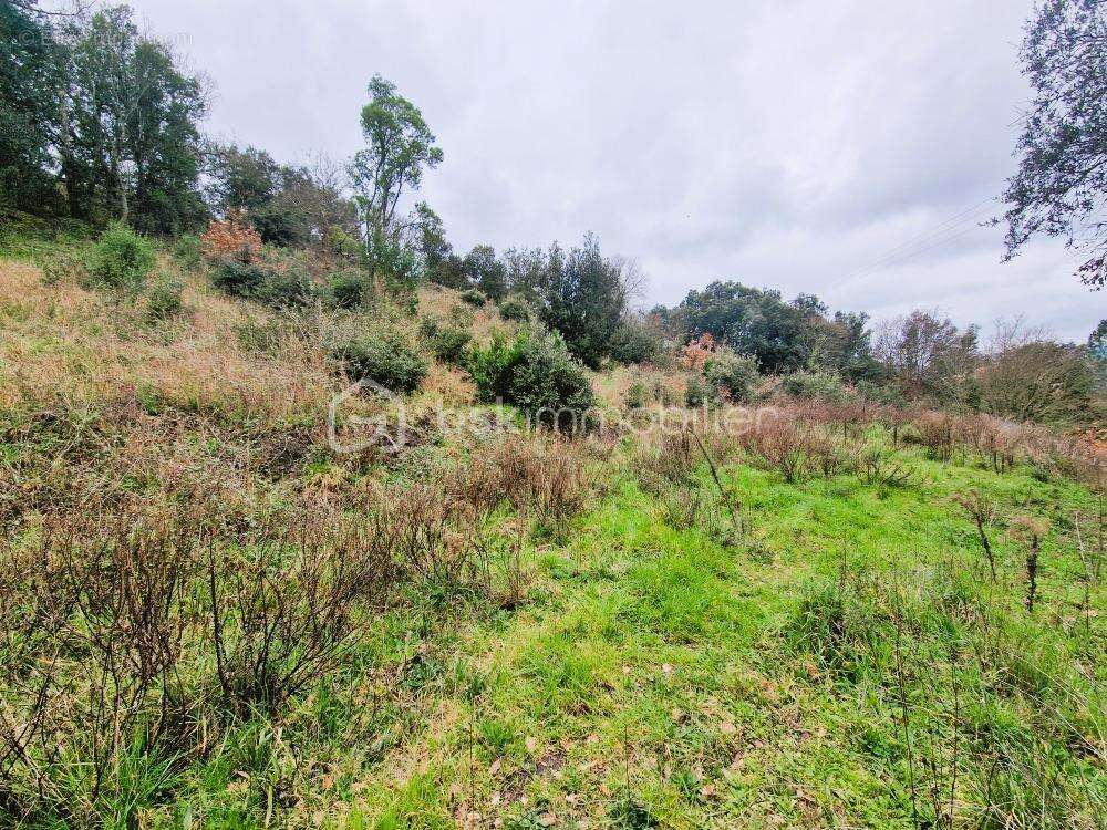 Terrain à QUINTILLAN