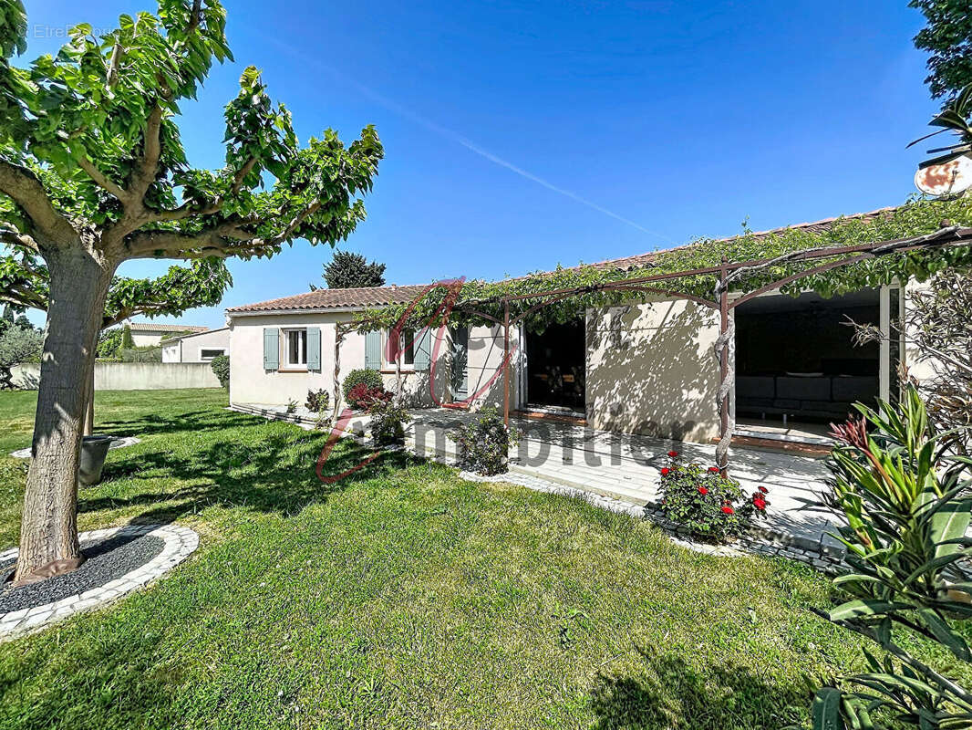 Maison à MOLLEGES
