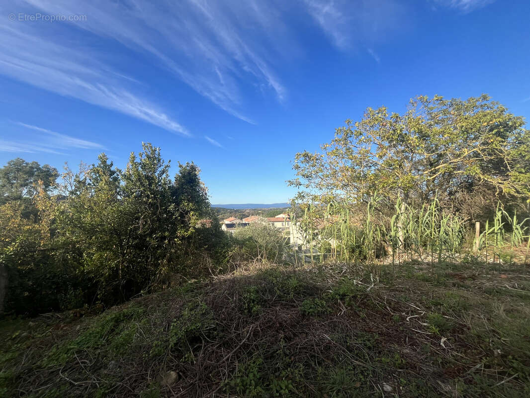 Terrain à POMAS
