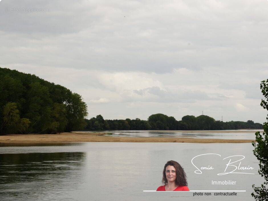 Maison St Saturnin sur Loire - Maison à BRISSAC-QUINCE